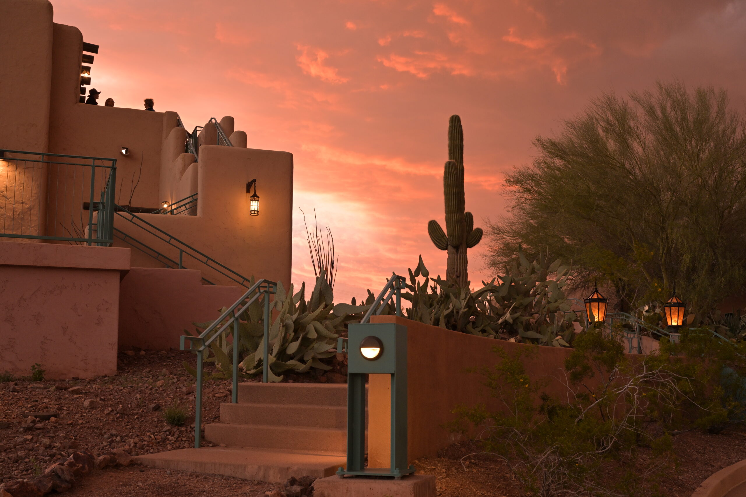 20240308-183017_53582708559_o