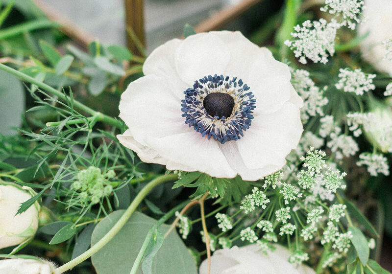 April Maura Photography (On Instagram @AprilMaura)